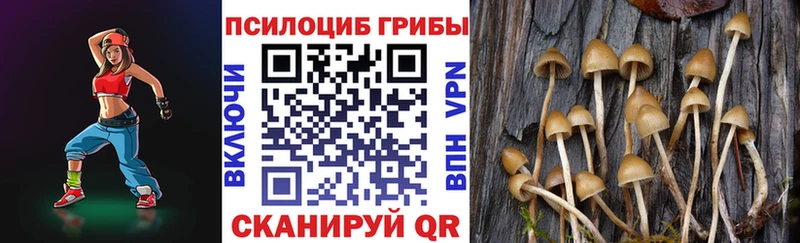 Псилоцибиновые грибы MAGIC MUSHROOMS  Купить закладки  Холмск 